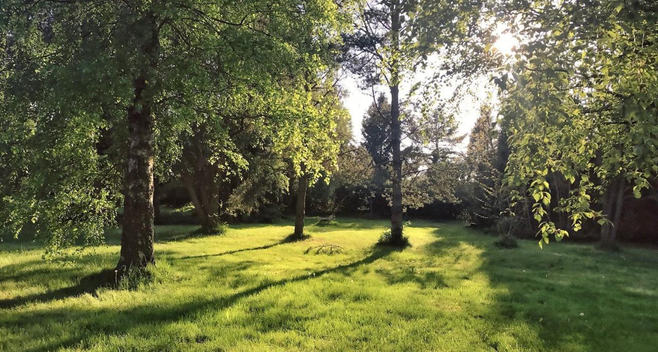 Domki Nad Morzem Cello Ostrowo  Dış mekan fotoğraf